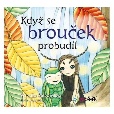 Když se brouček probudil - Jaroslava Šupová