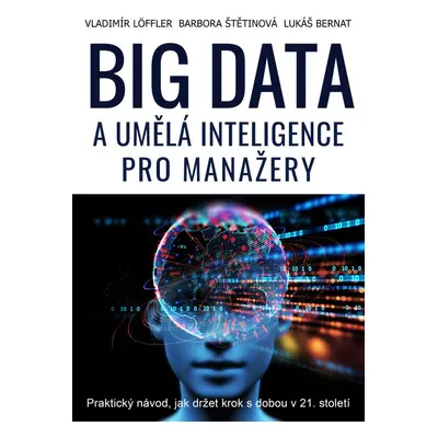 BIG DATA a umělá inteligence pro manažery - Ing. Barbora Štětinová MBA