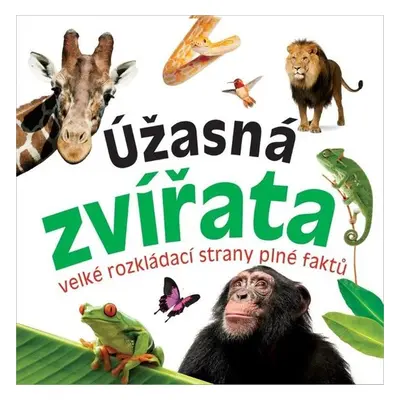 Úžasná zvířata - Autor Neuveden