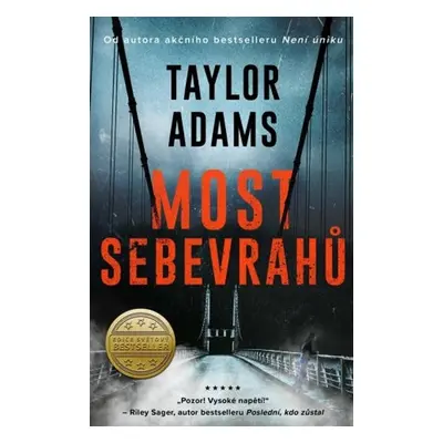 Most sebevrahů - Taylor Adams