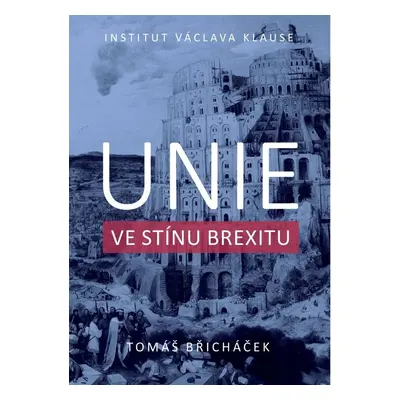 Unie ve stínu brexitu - Tomáš Břicháček