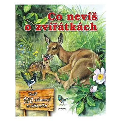 Co nevíš o zvířátkách - Autor Neuveden