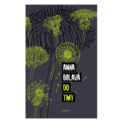 Do tmy - Anna Bolavá