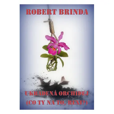 Ukradená orchidej - Robert Brinda