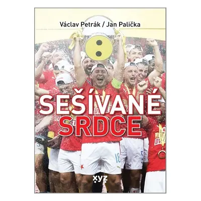 Sešívané srdce - Jan Palička