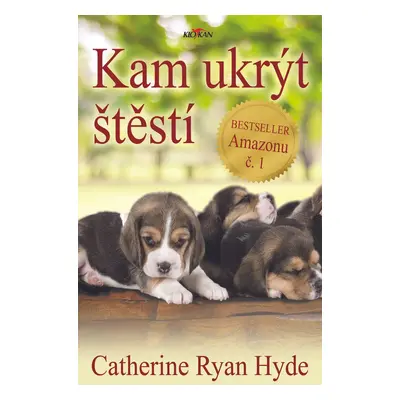 Kam ukrýt štěstí - Catherine Ryan Hyde