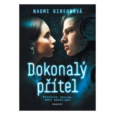 Dokonalý přítel - Naomi Gibsonová