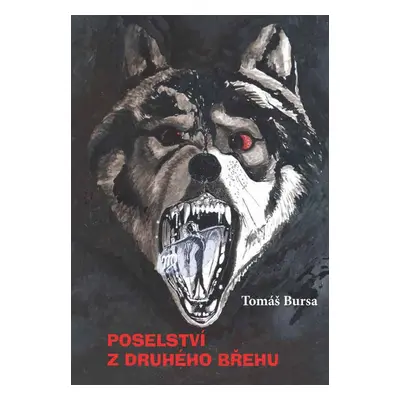 Poselství z druhého břehu - Tomáš Bursa