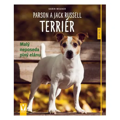 Parson a Jack Russell teriér - Karin Wegner