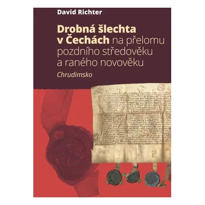 Drobná šlechta v Čechách na přelomu pozdního středověku a raného novověku - David Richter