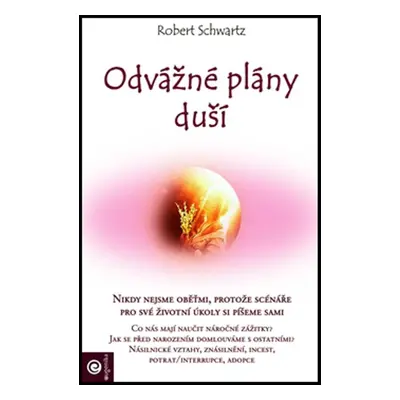 Odvážné plány duší - Robert Schwartz