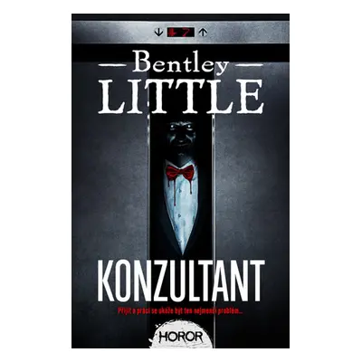 Konzultant - Bentley Little