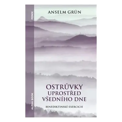 Ostrůvky uprostřed všedního dne - Anselm Grün