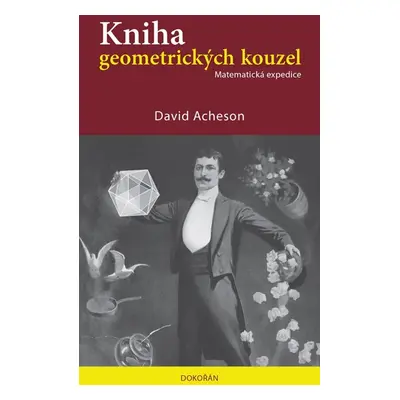 Kniha geometrických kouzel - David Acheson