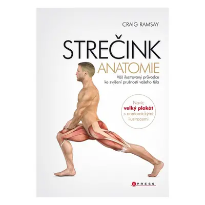 Strečink - anatomie - Craig Ramsay