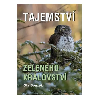 Tajemství zeleného království - Ota Bouzek