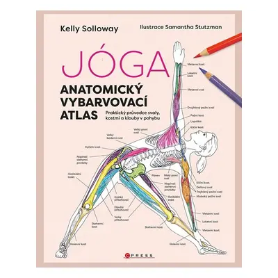 Jóga - anatomický vybarvovací atlas - Kolektiv