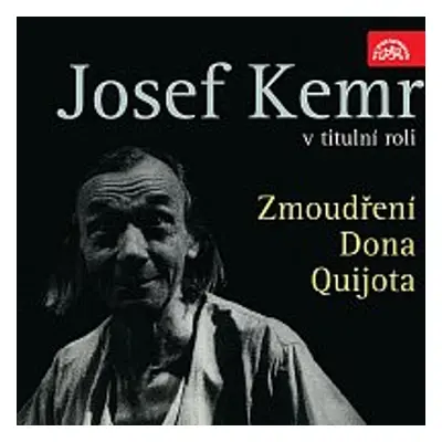 Zmoudření Dona Quijota - Viktor Dyk