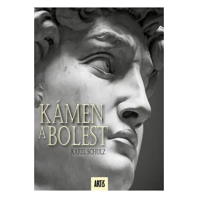 Kámen a bolest - Karel Schulz