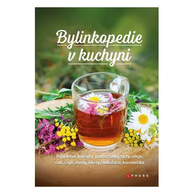 Bylinkopedie v kuchyni - Martin Chvapil