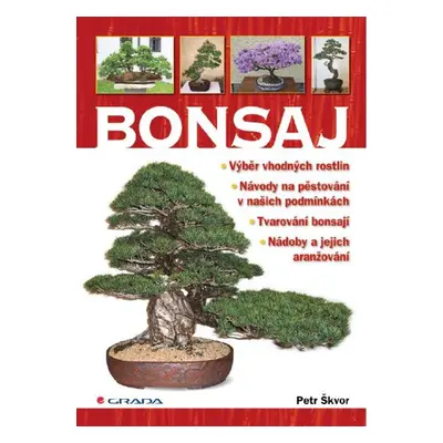 Bonsaj - Petr Škvor