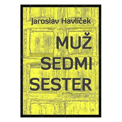 Muž sedmi sester - Jaroslav Havlíček