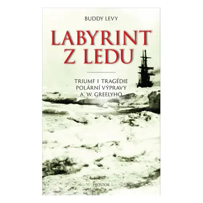 Labyrint z ledu - Buddy Levy