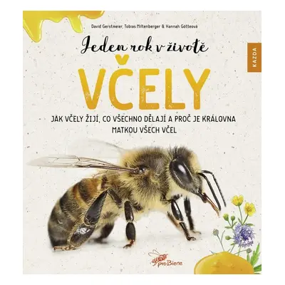 Jeden rok v životě včely - Hannah Götteová