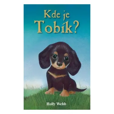 Kde je Tobík? - Holly Webbová