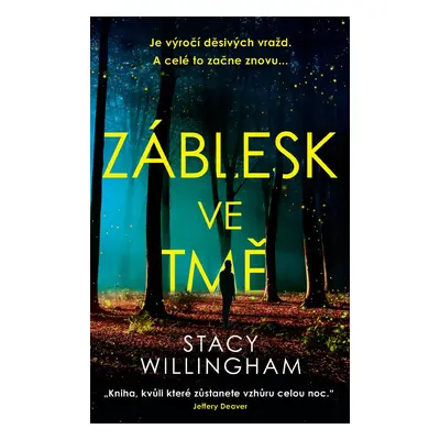 Záblesk ve tmě - Stacy Willingham