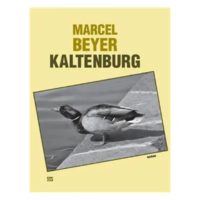 Kaltenburg - Marcel Beyer