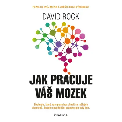 Jak pracuje váš mozek - David Rock