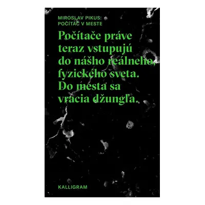 Počítač v meste - Miroslav Pikus