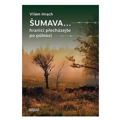 Šumava... - Vilém Hrach