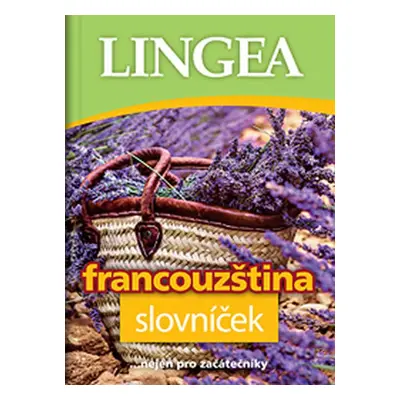 Francouzština slovníček - Autor Neuveden