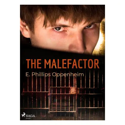 The Malefactor - Edward Phillips Oppenheim