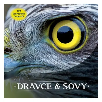 Dravce a sovy - Autor Neuveden