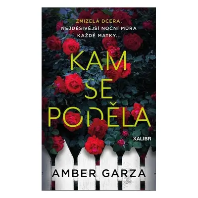 Kam se poděla - Amber Garza