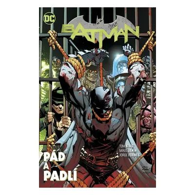 Batman Pád a padlí - Tom King