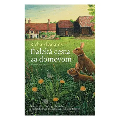 Ďaleká cesta za domovom - Lucia Nižníková