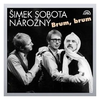 Brum, brum - Luděk Sobota