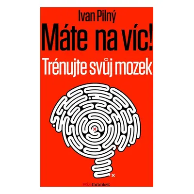 Máte na víc! Trénujte svůj mozek - Ivan Pilný