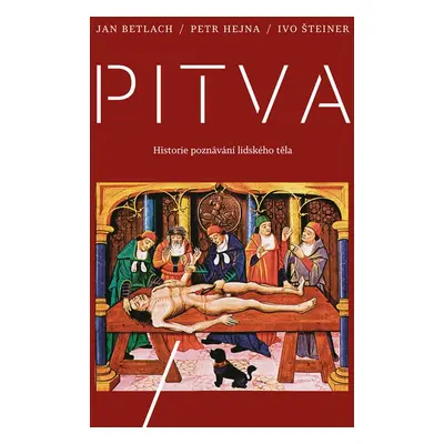 Pitva - Ivo Šteiner