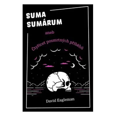 Suma sumárum - David Eagleman