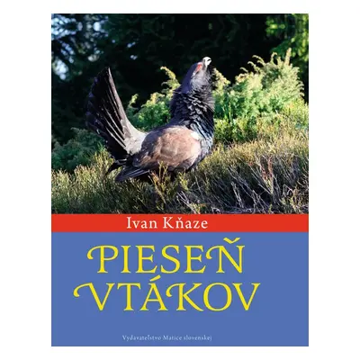 Pieseň vtákov - Ivan Kňaze