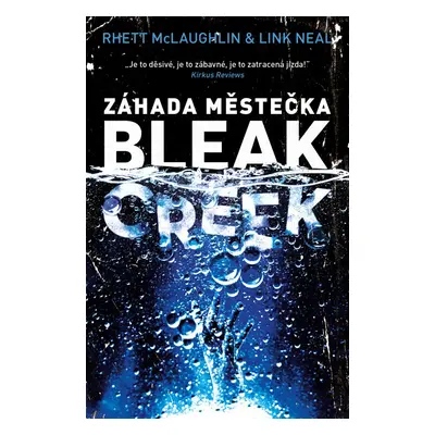 Záhada městečka Bleak Creek - Link Neal