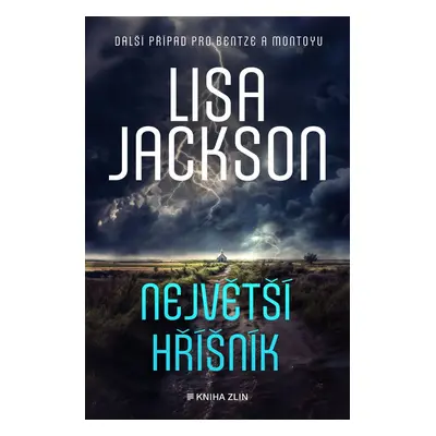 Největší hříšník - Lisa Jackson