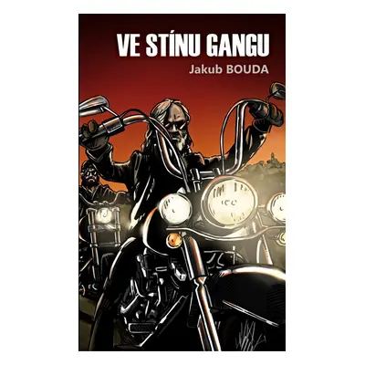 Ve stínu gangu - Jakub Bouda