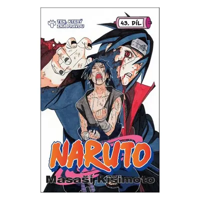 Naruto 43 Ten, který zná pravdu - Masaši Kišimoto