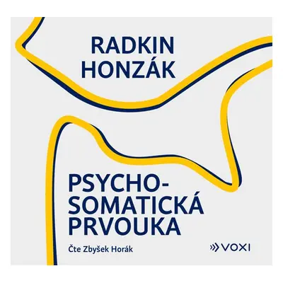 Psychosomatická prvouka - Radkin Honzák